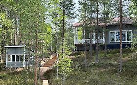 Karhurinne Koli